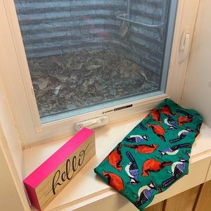 NWOT LuLaRoe TC Bird Cardinal Bluejay Leggings!